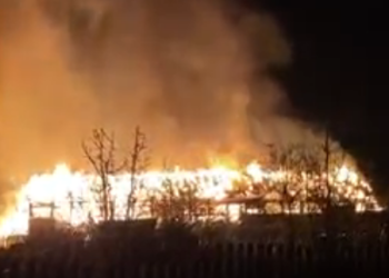 Incendiul de la o firmă de prelucrare a lemnului din Vatra Dornei a produs pagube de circa două milioane de lei