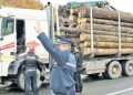 Polițiștii suceveni l-au oprit în trafic pe un bărbat din Neamț care transporta mai mult material lemnos decât cel trecut pe avizul de însoțire