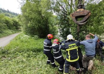 Pompierii suceveni au salvat o vacă căzută într-o fosă septică