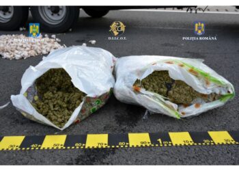 27 de kilograme de canabis descoperite de polițiști