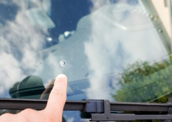 Un bărbat i-a furat motocositoarea unui gospodar pentru că i s-a fisurat parbrizul mașinii
