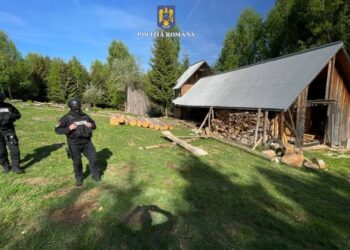 Gaterist din Voitinel amendat cu 15.000 de lei pentru că avea cherestea și lemn fără acte
