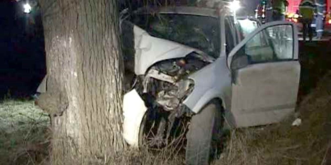 S-a urcat beat la volan, a fugit de poliție și s-a oprit într-un copac de pe marginea unui drum din Mălini