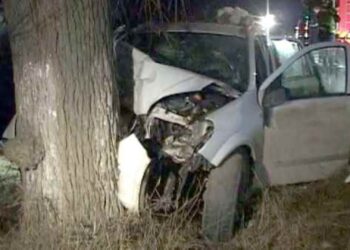 S-a urcat beat la volan, a fugit de poliție și s-a oprit într-un copac de pe marginea unui drum din Mălini