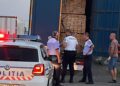 Camion sucevean, ce transporta ilegal peste 50 metri cubi de cherestea, confiscat datorită activistului de mediu Daniel Bodnar