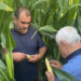 Ministrul Agriculturii, Petre Daea: „În momentul în care desfaci pănușile și ai luat ciocălăul în mână e temperatura atât de ridicată, aproape te încălzești”