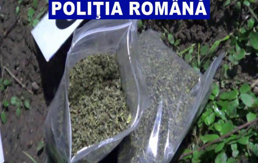 Traficant de etnobotanice sucevean, condamnat la șase ani de închisoare