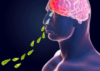Amibă devoratoare de creier, depistată la un copil de 13 ani. Adolescentul s-a infectat la plajă