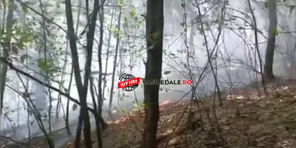 Un bărbat a incendiat o pădure pentru a le da de lucru pompierilor: „Să nu mai stea atâta pe TikTok”