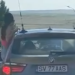 Polițiștii le-au amendat pe tinerele care s-au dat în spectacol ieșit pe geamurile unui BMW aflat în mișcare. Șoferul nu a scăpat „nepremiat”