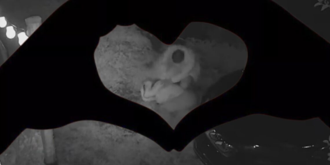 VIDEO Nici bătaia nu stinge flacăra iubirii. Femeia, care zilele trecute a fost snopită în bătaie de către soț, și-a retras plângerea, l-a iertat pe bărbat și își dorește să trăiască împreună din nou