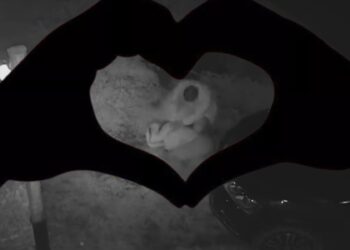 VIDEO Nici bătaia nu stinge flacăra iubirii. Femeia, care zilele trecute a fost snopită în bătaie de către soț, și-a retras plângerea, l-a iertat pe bărbat și își dorește să trăiască împreună din nou