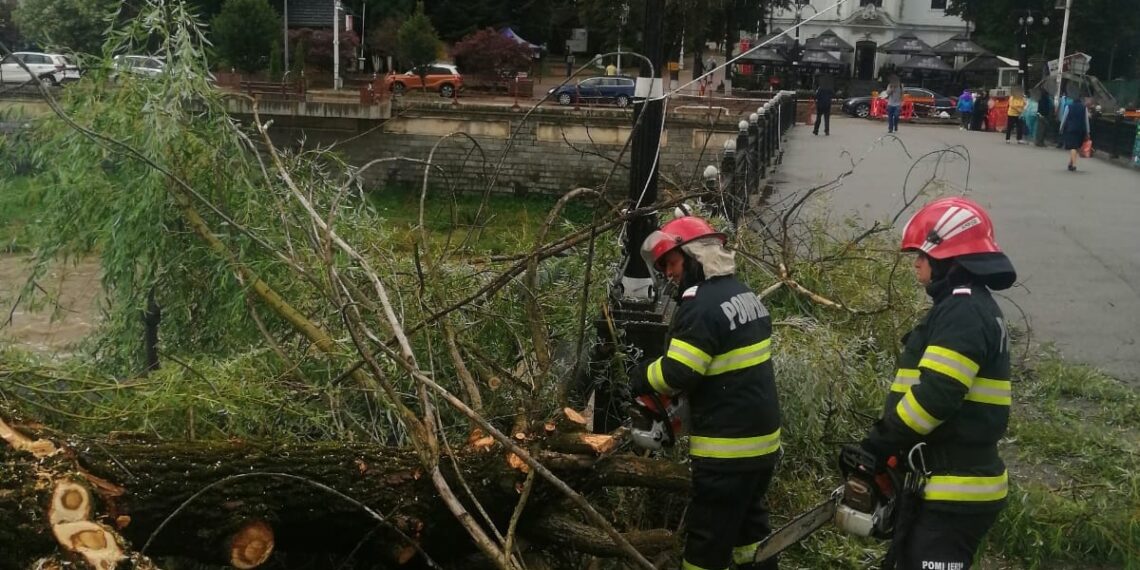 FOTO Pompierii militari suceveni au defrișat mai mulți arbori pe care vântul i-a pus la pământ, pe raza localităților Câmpulung Moldovenesc și Vatra Dornei