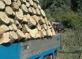 Șofer amendat cu 3.000 de lei pentru că transporta ilegal 2,80 metri cubi de material lemnos