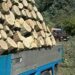 Șofer amendat cu 3.000 de lei pentru că transporta ilegal 2,80 metri cubi de material lemnos