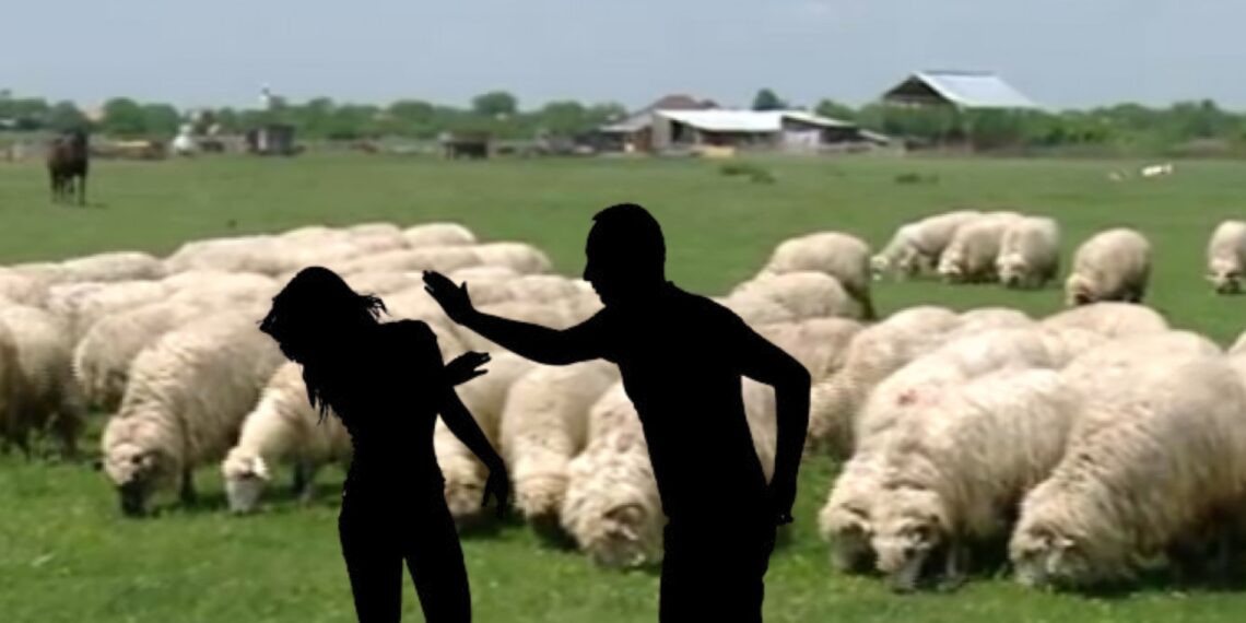 Un bărbat și-a bătut soția pe izlazul pe care își pășteau oile