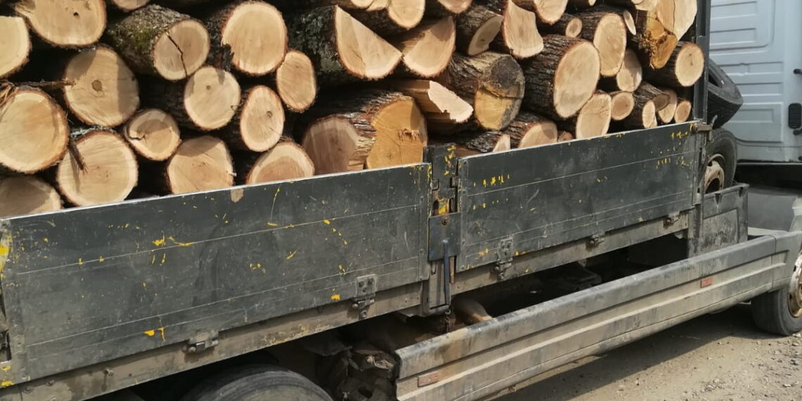 Șofer amendat cu 1.000 de lei pentru că efectua transport multiplu de material lemnos cu un singur aviz
