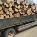 Șofer amendat cu 1.000 de lei pentru că efectua transport multiplu de material lemnos cu un singur aviz