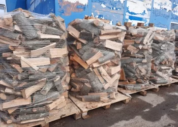 Firmă amendată cu 5.000 de lei pentru că nu avea acte pentru circa 4 metri cubi de lemn de foc