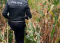 Mai multe persoane s-au ascuns într-un lan de porumb, după ce mașina în care se aflau a fost implicată într-un accident rutier pe raza localității Frătăuții Vechi. Una dintre persoane a scăpat documentele mașinii în timp ce fugea de polițiști