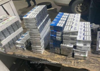 Rico, câinele polițist, a descoperit 420 de pachete cu țigări de contrabandă în PTF Siret