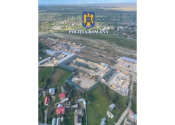 VIDEO Peste 21.000 de metri cubi de material lemnos au fost indisponibilizați în urma perchezițiilor făcute la Mafia Lemnului din Suceava și din țară