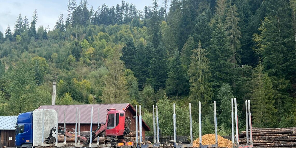 VIDEO Echipa de activiști de mediu a lui Daniel Bodnar a mai descoperit un transport ilegal de material lemnos. Polițiștii au confiscat ansamblul de vehicule folosit la transport