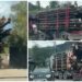 VIDEO Încă un ansamblu de vehicule încărcat necorespunzător cu material lemnos a fost descărcat la gaterul fiului primarului din Moldovița. Polițiștii au ajuns la fața locului când deja lemnele erau descărcate