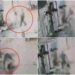VIDEO Suceveanul care și-a bătut cu sălbăticie soția și a călcat-o în picioare în timp ce aceasta avea un bebeluș în brațe a fost reținut pentru 24 de ore