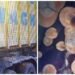 FOTO Peste 500 de metri cubi de material lemnos, transportați ilegal de o firmă din Mălini