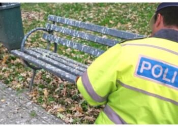 SJU Suceava a fost amendat pentru că a distrus cuiburile de ciori din curte