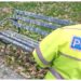 SJU Suceava a fost amendat pentru că a distrus cuiburile de ciori din curte