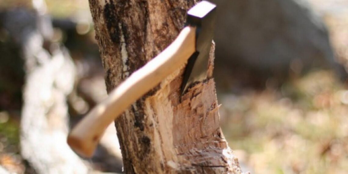 Un bărbat a murit într-o pădure din Dorna Arini, după ce vârful unui arbore a căzut peste el. Acesta tăia copaci