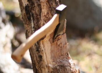 Un bărbat a murit într-o pădure din Dorna Arini, după ce vârful unui arbore a căzut peste el. Acesta tăia copaci