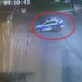 VIDEO cu momentul în care un bosâncean a furat capacele unei mașini de poliție