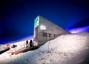 Circa 900 de eșantioane de semințe din Suceava au fost depuse în Depozitul Apocalipsei din arhipelagul Svalbard, între Norvegia și Polul Nord