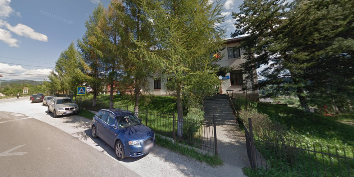 Primăria Dorna Arini a plătit peste 10.000 de euro pentru a amenaja spații verzi cu tuia smarald