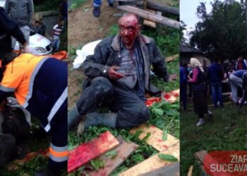 Clanul de rromi din Gulia specializat în bătăi sângeroase și-a aflat condamnările definitive. Cea mai mică pedeapsă este de 8 ani și 8 luni de închisoare, iar cea mai mare de peste 12 ani