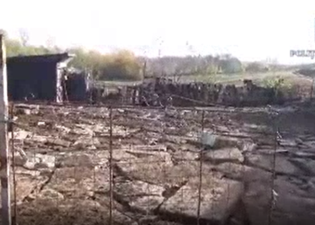 VIDEO DIICOT l-a reținut pe un sucevean pentru că și-a exploatat prin muncă cei cinci copii. Victimele erau obligate să muncească la o fermă de măgari și la o fabrică de cauciucuri de dimineață până seara