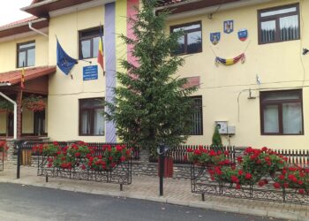 Primăria Sadova plătește peste 215.000 de euro pentru a realiza trotuare din pavaj