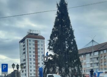 Primăria Suceava plătește peste 7.000 de euro pentru ”servicii de împodobire brad natural cu ghirlande luminoase”