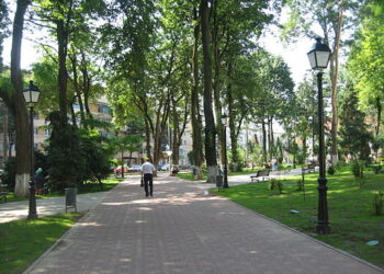 Primăria Suceava a eliberat autorizația de construire pentru amplasarea bustului monument comemorativ ”Dimitrie Loghin” în parcul Profesor Ioan Nemeș