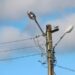 24 de ore de arest pentru un bărbat care a doborât un stâlp de electricitate cu mașina