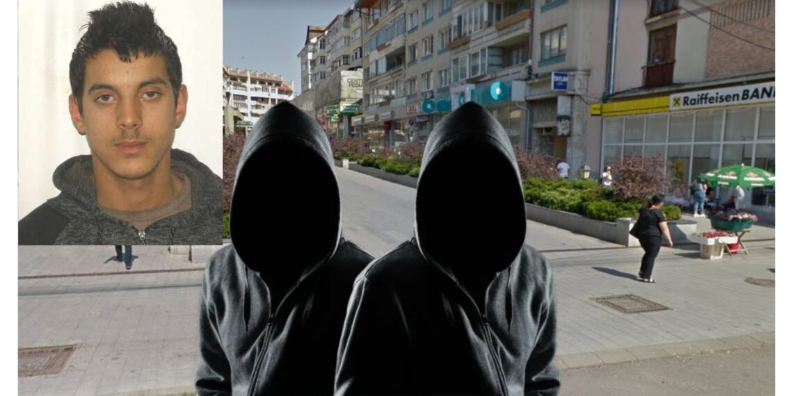 Cel de-al doilea tâlhar al bătrânei de 87 de ani, care a murit la patru zile după ce a fost atacată, este dat în urmărire generală