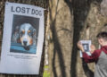 Un an de închisoare cu suspendare pentru o țepară care păcălea persoanele disperate aflate în căutarea animalelor pierdute