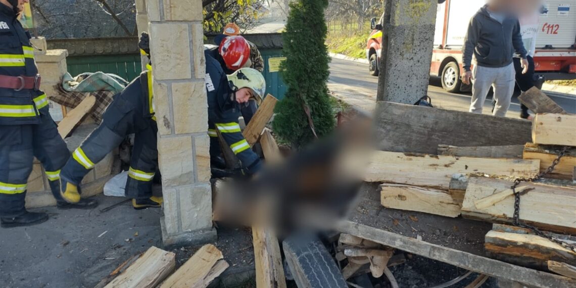 FOTO Un căruțaș care transporta lemne de foc fără documente a ajuns la spital după ce a prins viteză în pantă și s-a izbit într-un stâlp de electricitate. Calul a murit pe loc