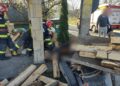 FOTO Un căruțaș care transporta lemne de foc fără documente a ajuns la spital după ce a prins viteză în pantă și s-a izbit într-un stâlp de electricitate. Calul a murit pe loc