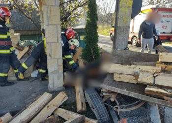 FOTO Un căruțaș care transporta lemne de foc fără documente a ajuns la spital după ce a prins viteză în pantă și s-a izbit într-un stâlp de electricitate. Calul a murit pe loc