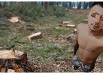 Un jurnalist a fost amenințat de unul dintre hoții de lemne care au tăiat ilegal 13 arbori dintr-o pădure administrată de OS Pătrăuți