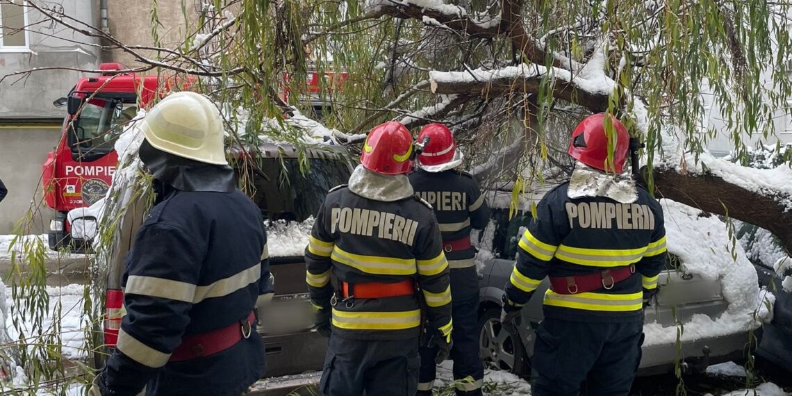 FOTO Un copac a căzut peste trei autoturisme parcate în zona Metro